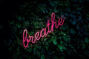 breathe spelled in pink neon script on green leaves background
