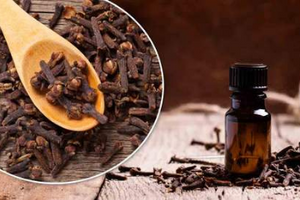 Whole cloves in bowl beside a bottle of clove essential oil